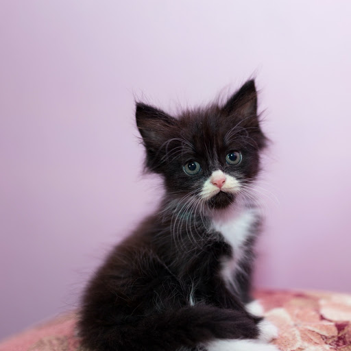 Hd-185706-ascw185706