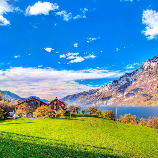 Hd-169911-ascw169911