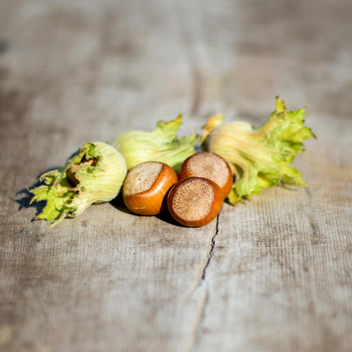 Hd-158308-ascw158308