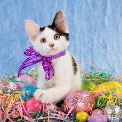 Hd-177544-ascw177544