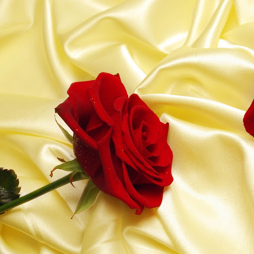 Hd-144374-ascw144374