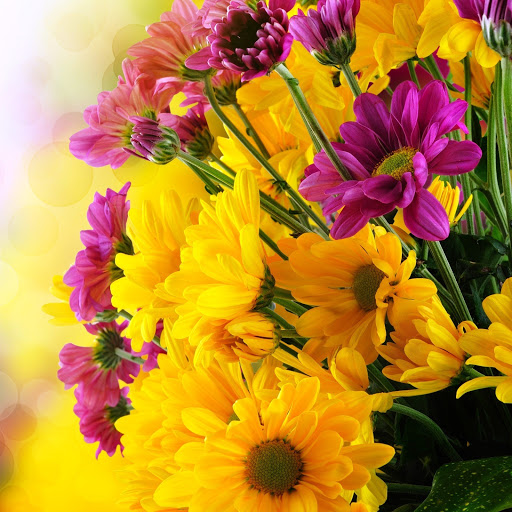 Hd-142664-ascw142664