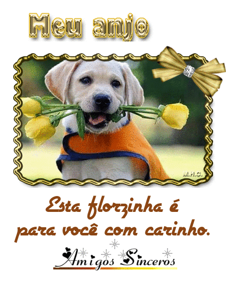 oie_oie_overlay+%284%29.gif