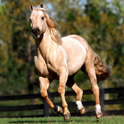 Hd-182404-ascw182404