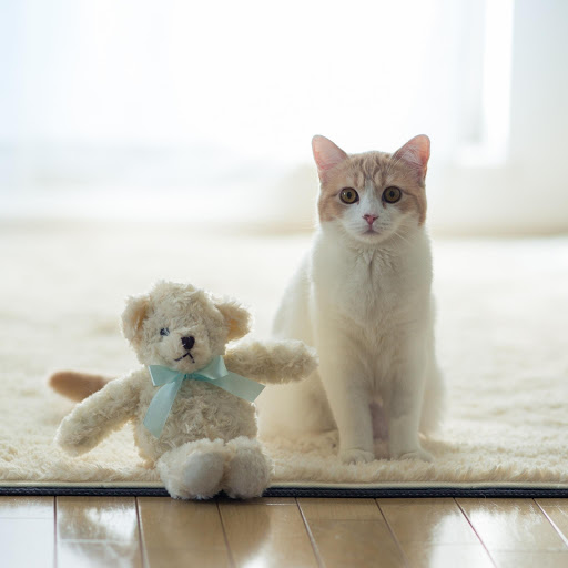 Hd-177529-ascw177529