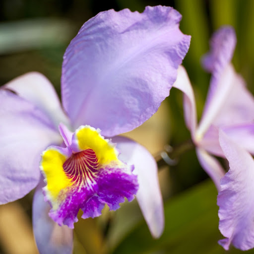 Hd-156574-ascw156574