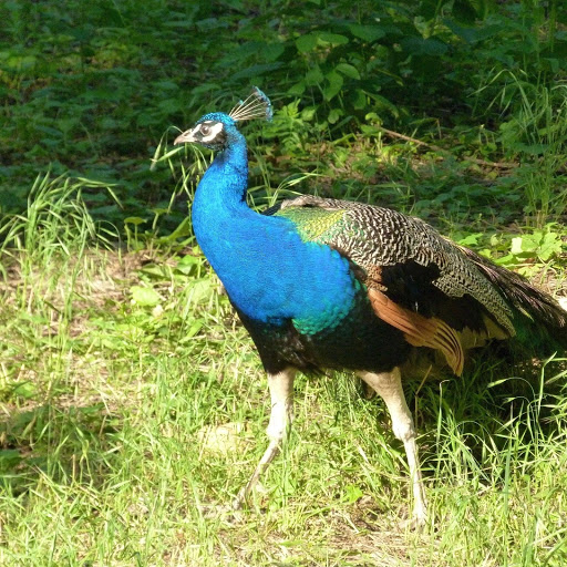 Hd-132986-ascw132986