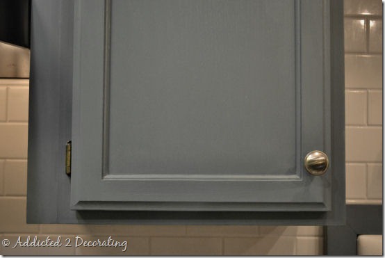 kitchen--new cabinet door