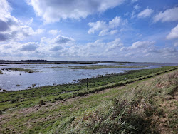 Skjern Au _ Oktober 2012 - 001