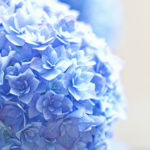 Hd-138535-ascw138535