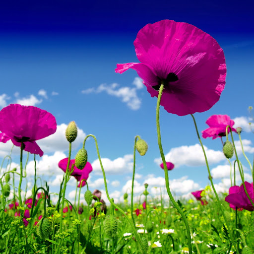 Hd-139760-ascw139760