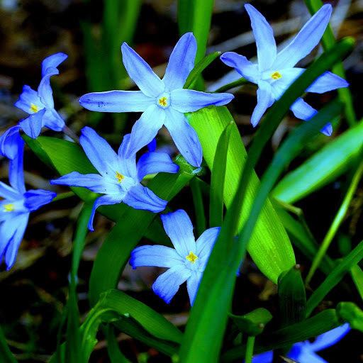 Hd-161886-ascw161886