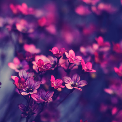 Hd-144698-ascw144698