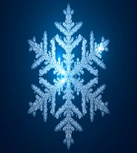 Largest Snowflake - Celebrity Pictures