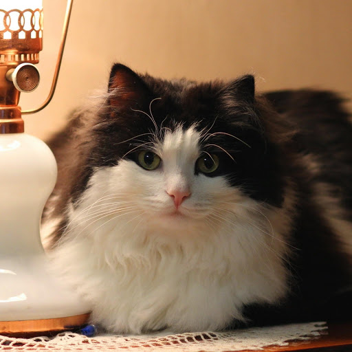 Hd-183403-ascw183403