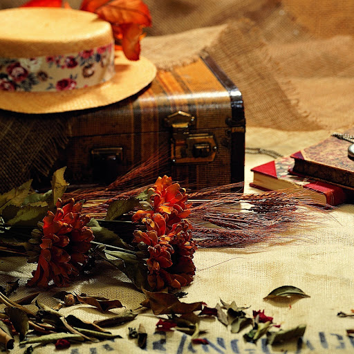 Hd-160228-ascw160228