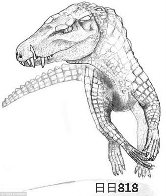 恐龍殺手 波羅鱷 - 狗頭犬齒的波羅鱷 Pissarrachampsa sera 是「恐龍殺手」！
