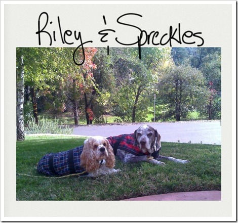 Riley and Spreckles (2)