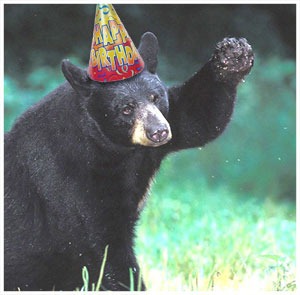 [bear_happy_birthday%255B4%255D.jpg]