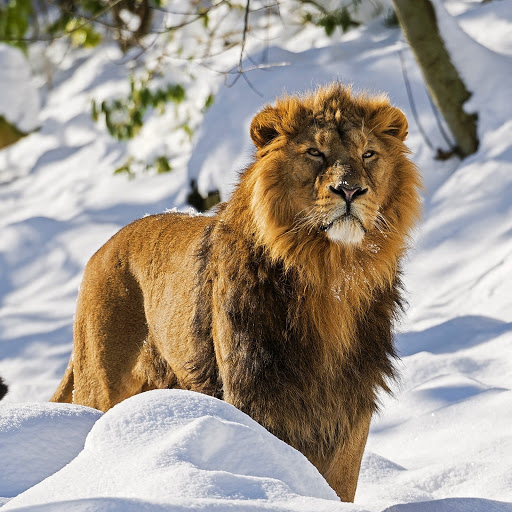 Hd-142256-ascw142256