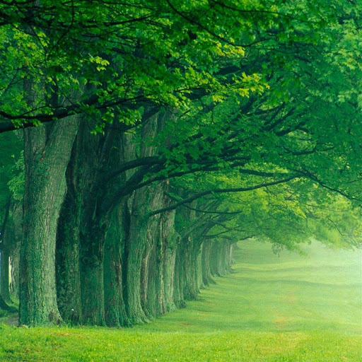 Hd-150298-ascw150298