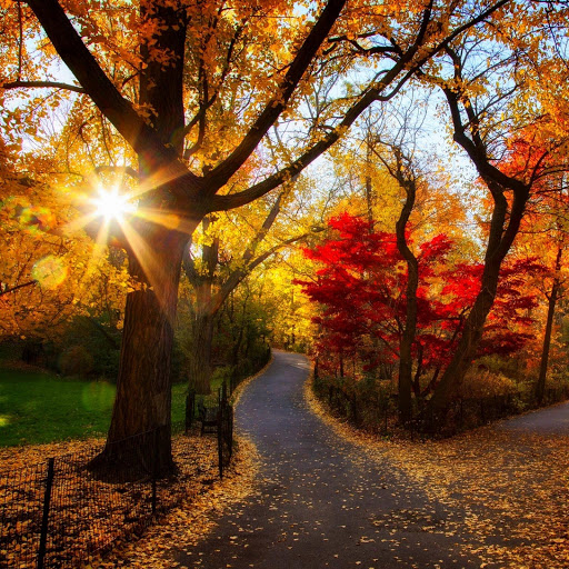 Hd-135860-ascw135860