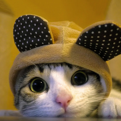 Hd-162689-ascw162689