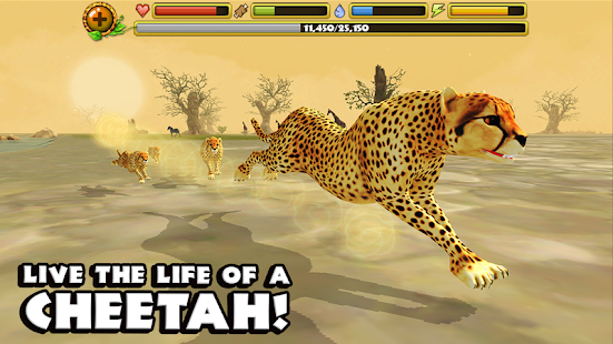 Cheetah Simulator(圖6)-速報App