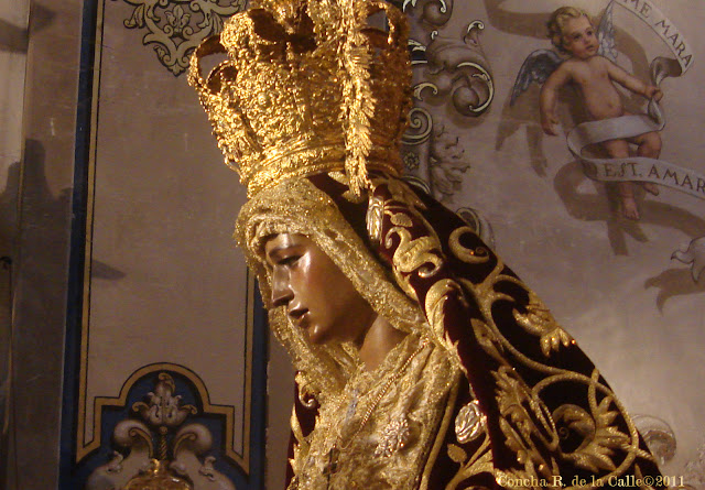 Virgen de la Amargura - Besamanos novbre. 2011 6b.jpg