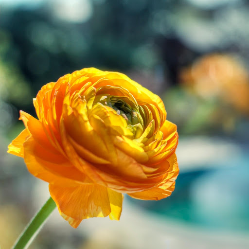 Hd-177682-ascw177682