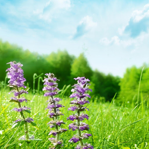 Hd-154435-ascw154435