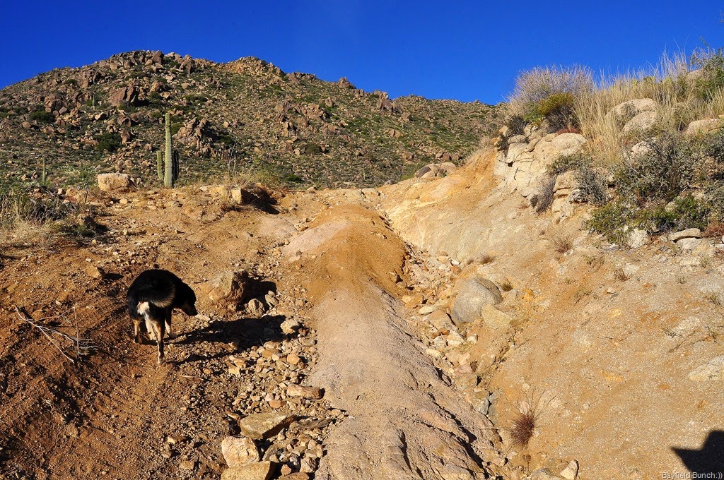 [DSC_0015%255B4%255D.jpg]