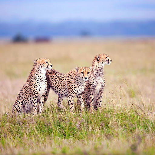 Hd-179067-ascw179067