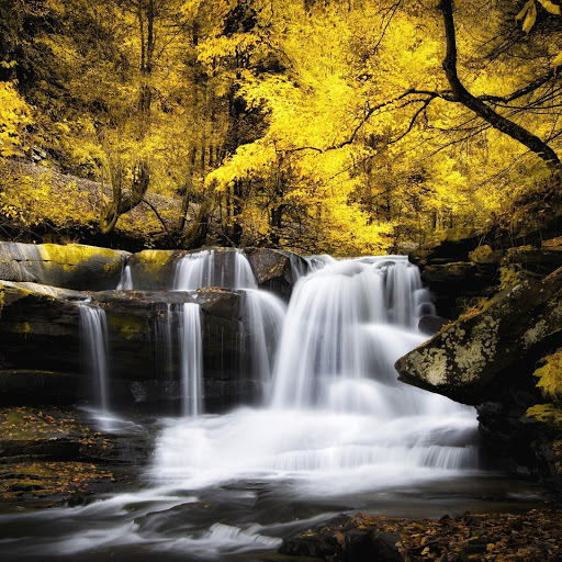 Hd-142761-ascw142761