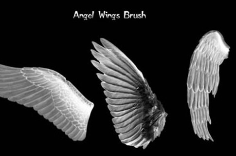 Pinceles de alas con relieve