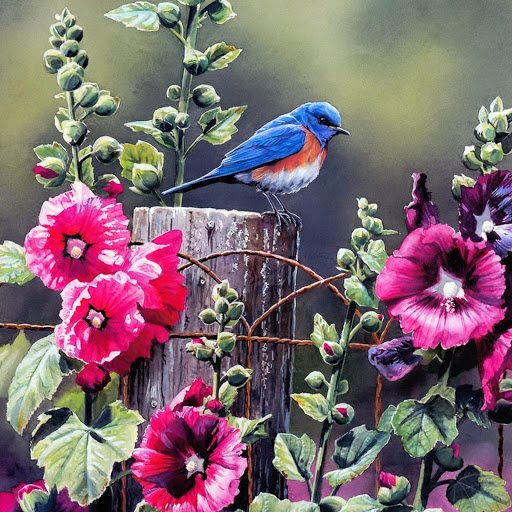 Hd-174113-ascw174113