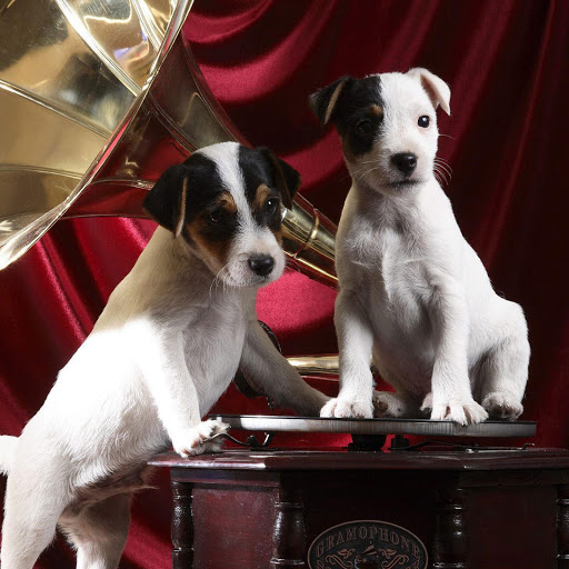 Hd-172785-ascw172785