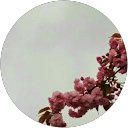 Elaine Eng profile picture