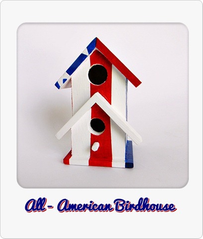 All-American Birdhouse w instant frame color text