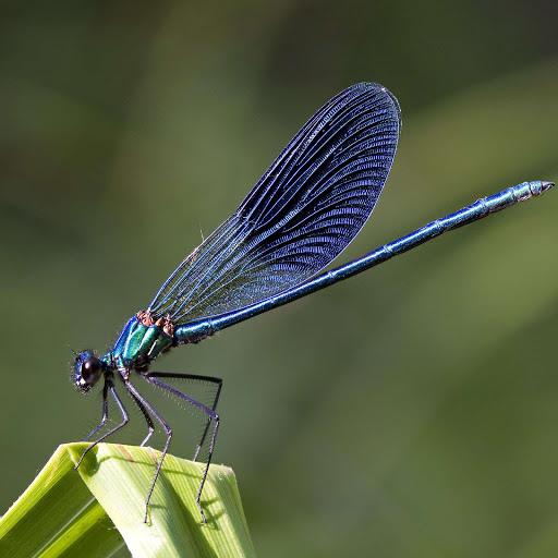 Hd-141650-ascw141650