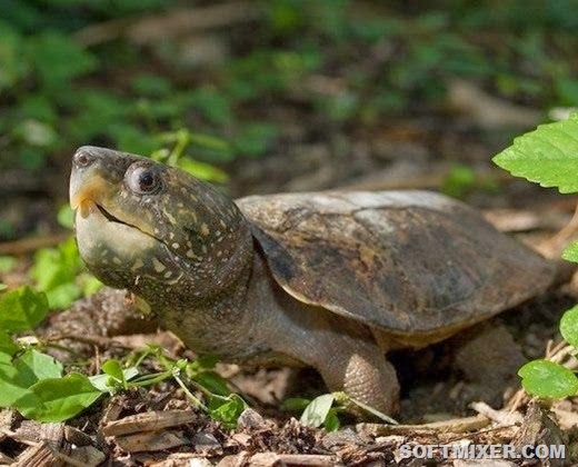 [clip_image008%255B4%255D%255B3%255D.jpg]