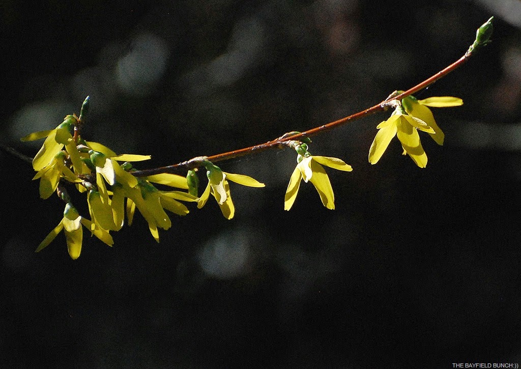 [DSC_9285%255B4%255D.jpg]