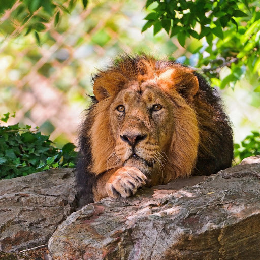 Hd-132610-ascw132610