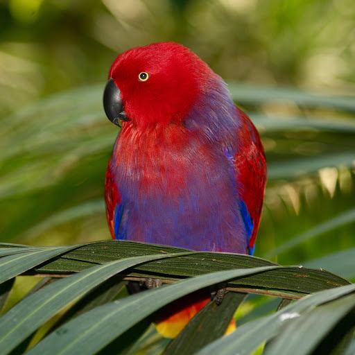 Hd-181177-ascw181177