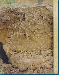 soil-1bg