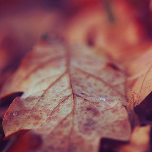 Hd-139507-ascw139507