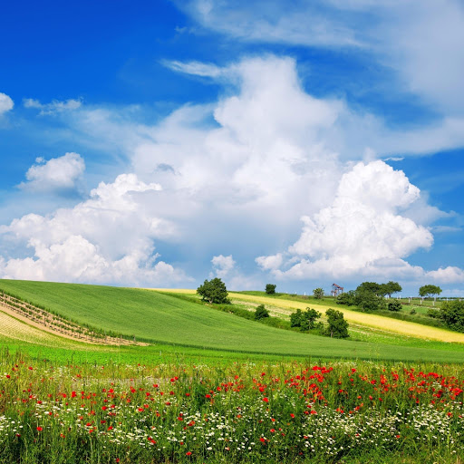 Hd-142782-ascw142782