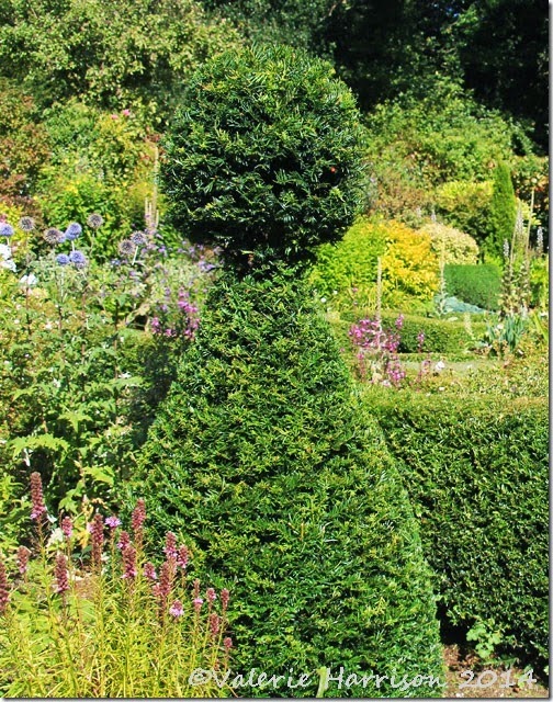 24-Topiary