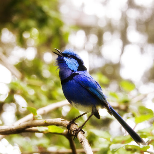 Hd-168371-ascw168371