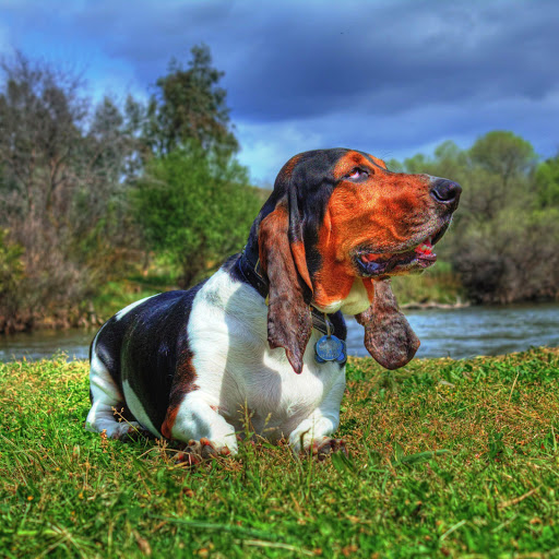 Hd-148399-ascw148399